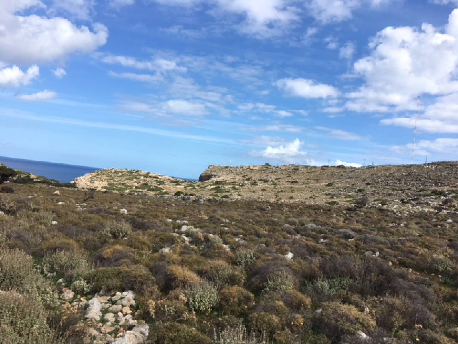 Plot in Kokkino Chorio